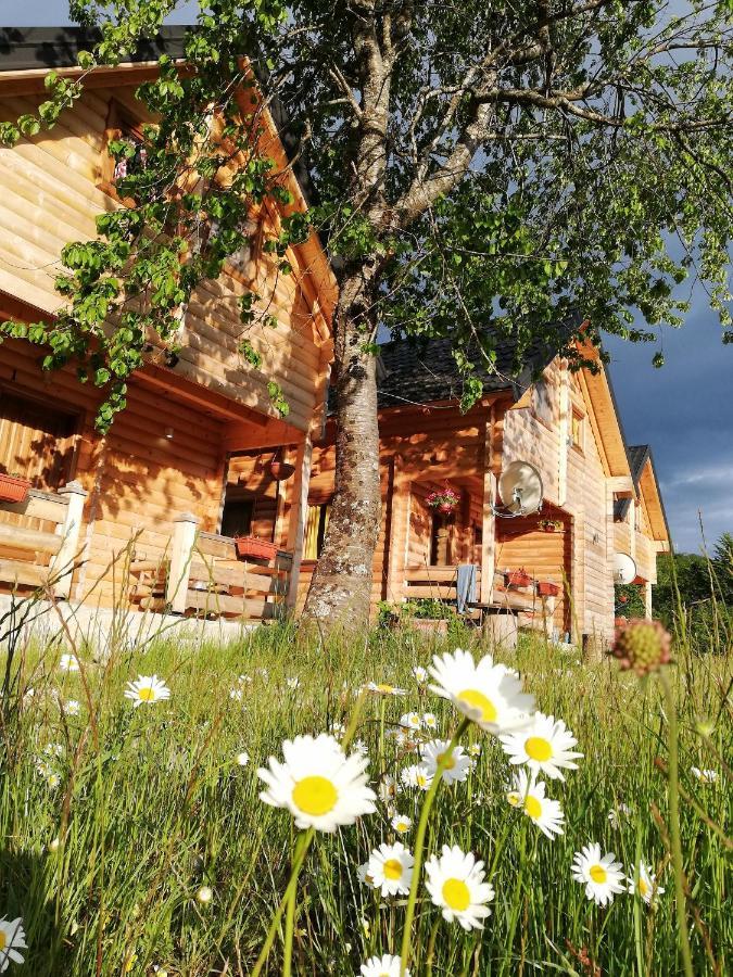 Sunny Hill Cabins โคลาชิน ภายนอก รูปภาพ